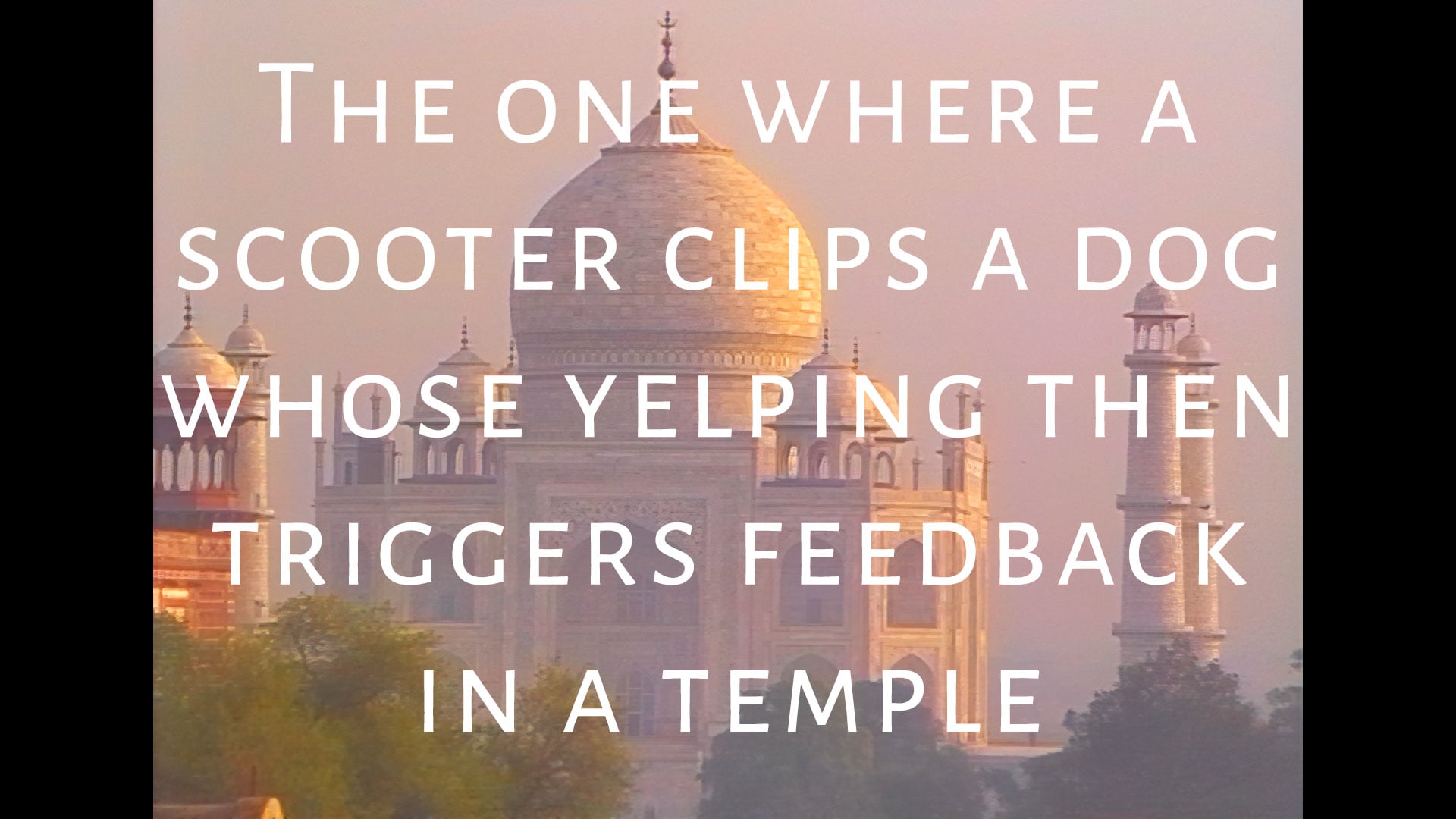 The one where a scooter clips a dog whose yelping then triggers feedback in a temple