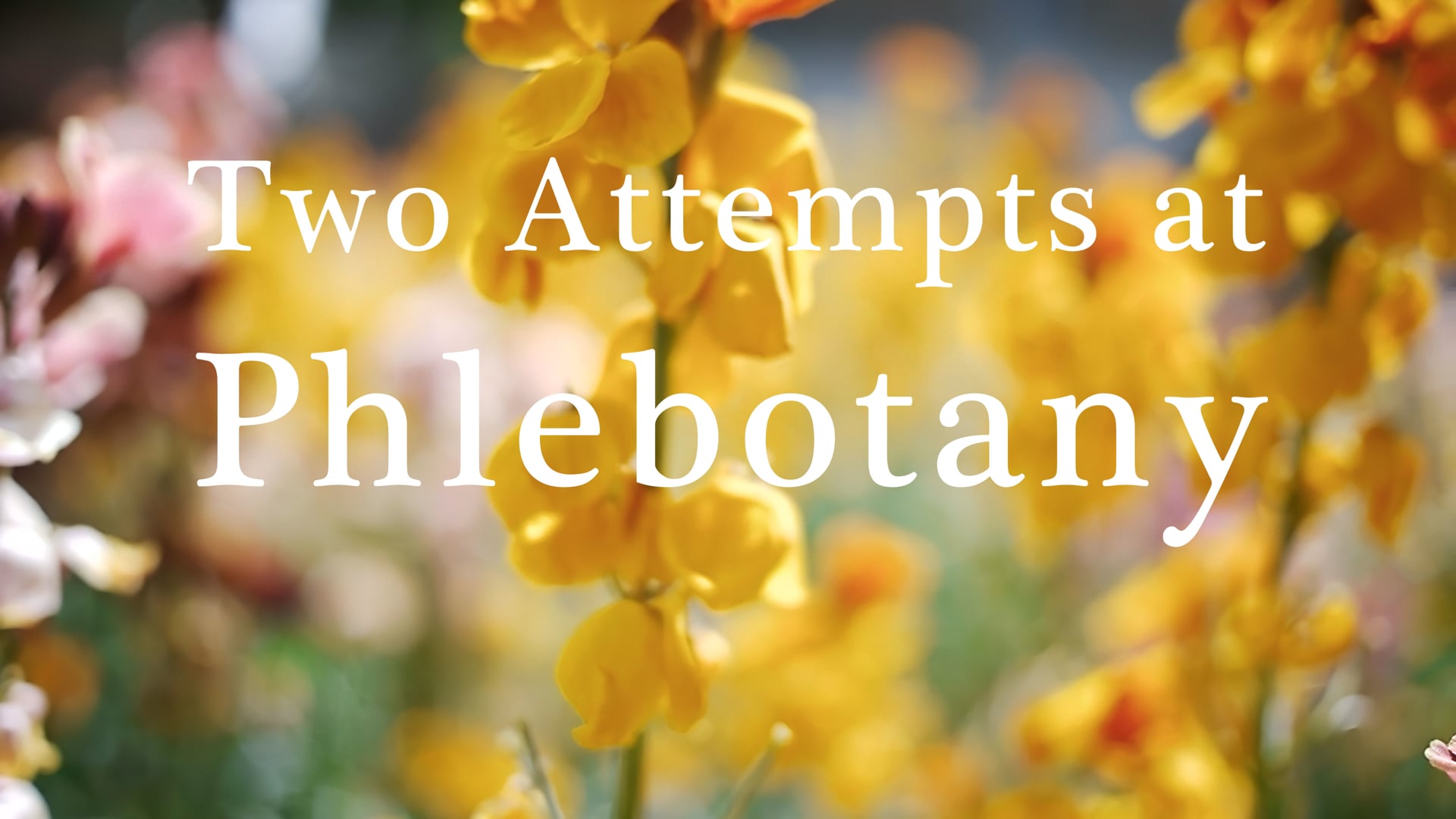 Two Attempts at Phlebotany