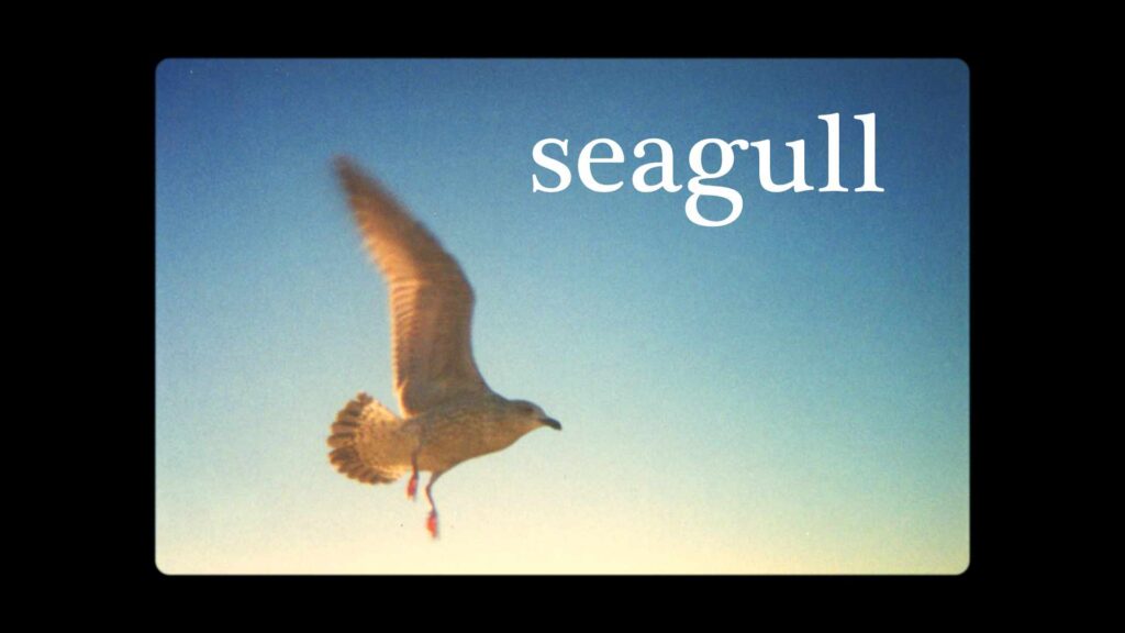 Seagull (2001) by Konrad Welz - Konrad Welz https://www.konradwelz.com/video/seagull/